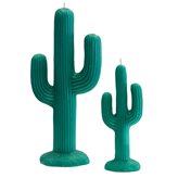 Candela Tropical Baby Cactus