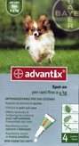 Advantix Spot-on per cani fino a 4kg 4 pipette (4 x 0,4ml)