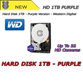 Hard Disk HD 1TB Purple Version - Alta Qualità - Audio/Video - Western Digital