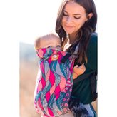 Chesire - Tula Toddler Carrier