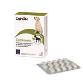 Condrosalus Camon 60 Compresse