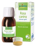 Rosa Canina Boiron 60ml