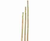 Verdemax tutori in bamboo serie pesante cm 180