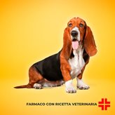 CANITROID 400 MG (250 cpr) - Trattamento dell’ipotiroidismo nei cani