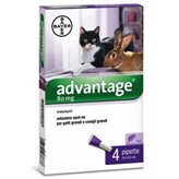 Advantage Spot-On 80 per gatti e conigli di peso pari o superiore a 4 kg