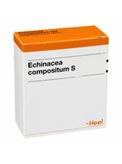 Echinacea Compositum S Forte 10 Fiale