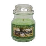 Nature Candle - Coconut & Mint - 90 grammi