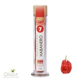 Habanero Red Savina Bio Chilipulver 12 gr