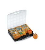 Plastic organizer with lid and 16 removable bins Set of-1 Height (cm)-5.5 Depth (cm)-26 Width (cm)-30