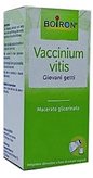 Vaccinium Vitis Boiron 60ml