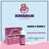 Merry Berry Kingdon Dreamods Aroma Concentrato 10ml Ciambella Mirtillo
