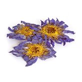 Fiore di Loto Blu Essiccato - 25 g