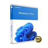 Microsoft Windows 11 Professional 64 bit ESD - Licenza Digitale Microsoft