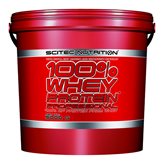 SCITEC 100% WHEY PROTEIN PROFESSIONAL 5000g - STRAWBERRY