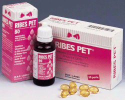 Ribes Pet® 80 Cane e Gatto NBF Lanes 25ml