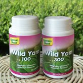 Natural Point Wild Yam 300 20% Integratore Alimentare 50 Capsule Da 300mg