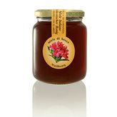 Miele italiano di bosco - 500gr