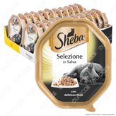 Sheba Selezione in Salsa Cibo per Gatti al Gusto Pollo - 22 Vaschette da 85g