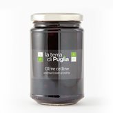 Olive celline al mirto