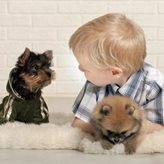 Crocchette Per Cani Cuccioli Di Piccola Taglia MINI Puppy - Pollo e Riso - Scegli Peso Confezione : 1 kg