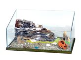 Petingros Tartarughiera in vetro bella vasca 60 con isola filtro