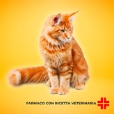 NOBIVAC TRICAT TRIO (25 dosi) - Liofilizzato e solvente per sospensione iniettabile per gatti