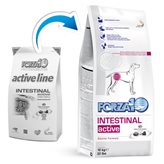 Forza10 Alimento Seco Activo Intestinal para Perros 10kg