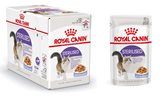 Royal Canin Sterilised jelly 85 grammi confezione da 12 cibo umido per gatti