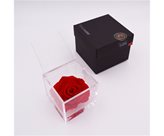Flowercube rosa cm 10x10 - rosso