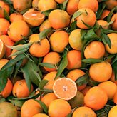 Clementine di Villacidro - peso : 1 kg