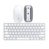 Apple Magic Mouse 1 + Magic Keyboard (1a Generazione) a pile (Ricondizionato - Ottimo)