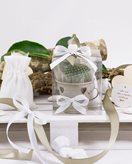 Bomboniera secchiello con cuori e pianta grassa - Piantina con tubicino e lanterna
