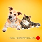 DOXYBACTIN 50 MG (10 cpr) - Antinfiammatorio per cani e gatti