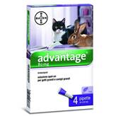 ADVANTAGE 80 (4 pipette) - Antiparassitario per gatti e conigli grandi