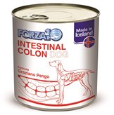 Forza 10 cane intestinal colon 390 gr