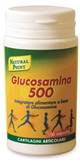 GLUCOSAMINA 500 100CPS 60G