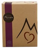 Panettone Cioccolato e Lampone 500g - Morandin