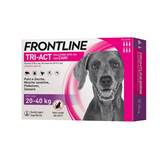 FRONTLINE TRI ACT 20/40 KG (6 pipette) - Antiparassitario per cani di taglia grande