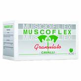 MUSCOFLEX (40 buste da 25 gr) - Combatte l'accumulo di acido lattico