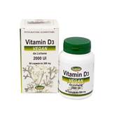 Larix Vitamina D3 Vegan da Lichene 2000 UI Integratore Alimentare 60 cps da 300 mg