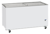 Congelatore a Pozzetto - Vetro Scorrevole - Capacità 500 Lt - CFG508