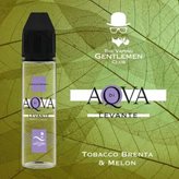 Aqva di Levante TVGC Liquido Scomposto 20ml Tabacco Brenta Melone