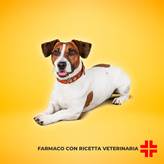 CREDELIO ROSA (3 cpr) (112 mg) - Antiparassitario per cani da 2,5 a 5,5 Kg