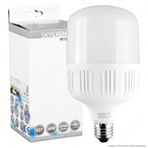 SkyLighting Lampadina LED E27 30W Bulb T100 - Colore : Bianco Freddo