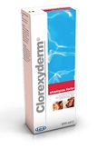 Icf clorexiderm shampo forte 200 ml
