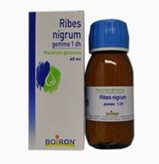 Boiron Ribes Nigrum Macerato Glicerico Gemme 60ml