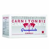 CARNITON B12 (20 buste da 25 gr) - Migliora le performances