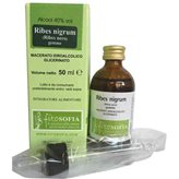 Ribes nigrum - 100 ML