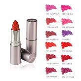 BIONIKE DEFENCE COLOR ROSSETTO COLORE INTENSO 3,5 ML  N.102 AMANDE