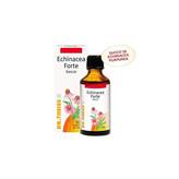 Theiss Echinacea Forte Gocce 50ml